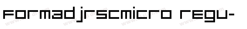 FormaDJRSCMicro Regu字体转换
